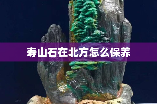 壽山石在北方怎么保養