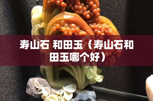 壽山石 和田玉（壽山石和田玉哪個好）