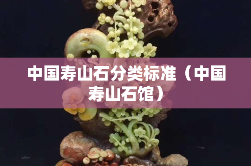 中國壽山石分類標準（中國壽山石館）