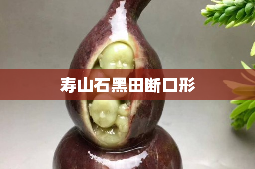 壽山石黑田斷口形 壽山石黑田斷口形