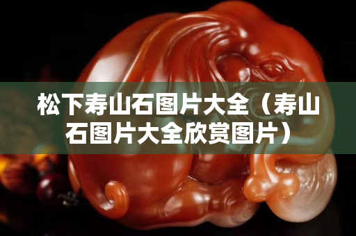 松下壽山石圖片大全（壽山石圖片大全欣賞圖片）