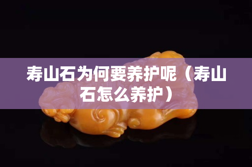 壽山石為何要養(yǎng)護呢（壽山石怎么養(yǎng)護）