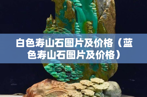 白色壽山石圖片及價格（藍色壽山石圖片及價格）