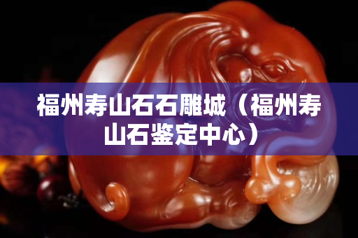 福州壽山石石雕城（福州壽山石鑒定中心）