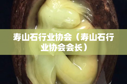 壽山石行業協會（壽山石行業協會會長）
