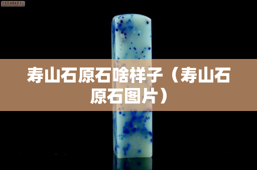 壽山石原石啥樣子（壽山石原石圖片）