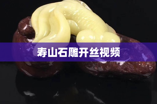壽山石雕開絲視頻