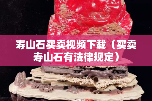 壽山石買賣視頻下載（買賣壽山石有法律規(guī)定）