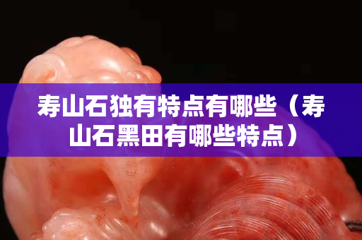 壽山石獨有特點有哪些（壽山石黑田有哪些特點）