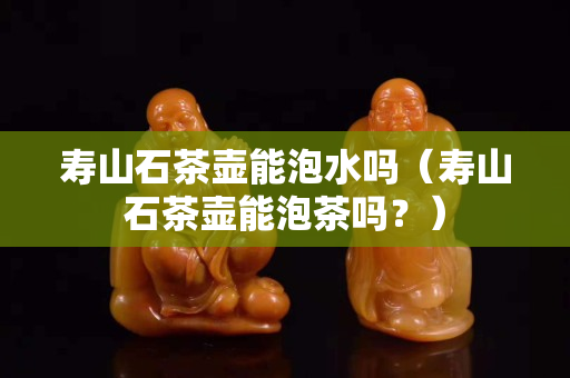壽山石茶壺能泡水嗎（壽山石茶壺能泡茶嗎？）