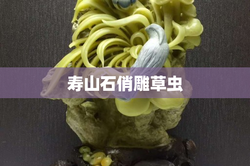 壽山石俏雕草蟲