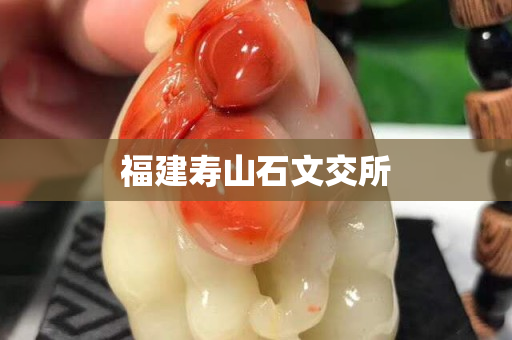 福建壽山石文交所
