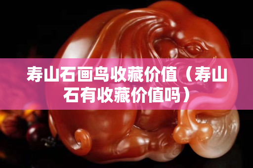 壽山石畫鳥收藏價值（壽山石有收藏價值嗎）