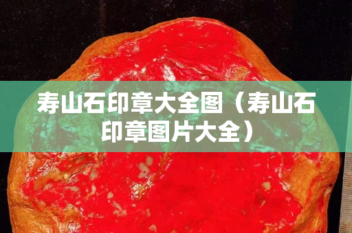 壽山石印章大全圖（壽山石印章圖片大全）