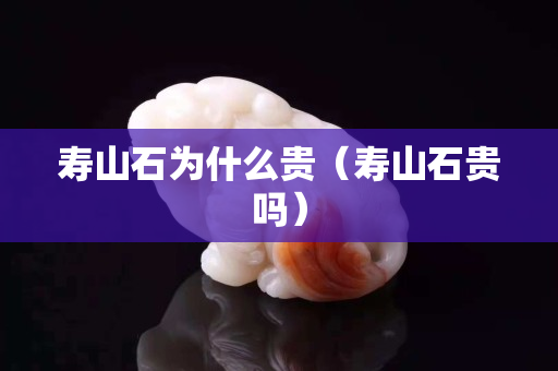 壽山石為什么貴（壽山石貴嗎）
