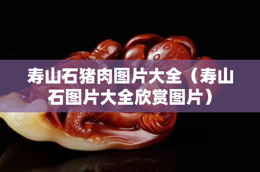 壽山石豬肉圖片大全（壽山石圖片大全欣賞圖片）