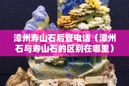 漳州壽山石后管電話（漳州石與壽山石的區(qū)別在哪里）