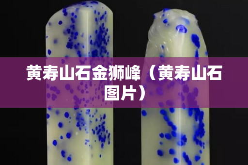 黃壽山石金獅峰（黃壽山石圖片）