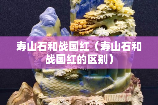 壽山石和戰國紅（壽山石和戰國紅的區別）