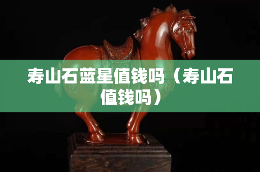 壽山石藍星值錢嗎（壽山石值錢嗎）