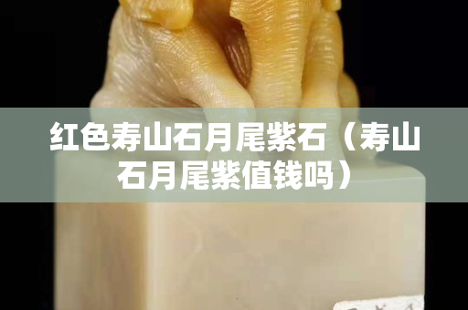 紅色壽山石月尾紫石（壽山石月尾紫值錢嗎）