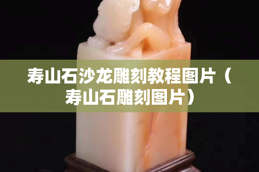 壽山石沙龍雕刻教程圖片（壽山石雕刻圖片）