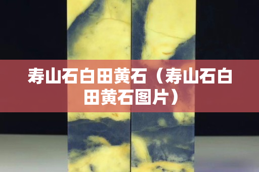 壽山石白田黃石(壽山石白田黃石圖片) 壽山石白田黃石(壽山石白田黃石圖片)