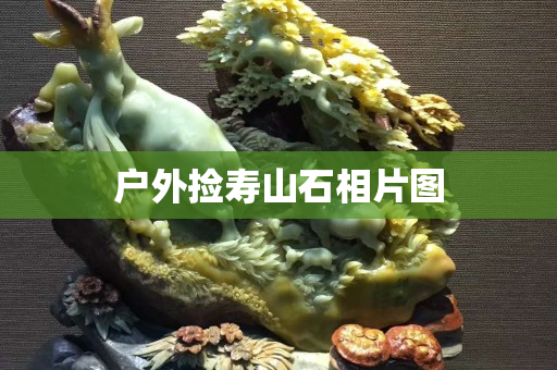 戶外撿壽山石相片圖