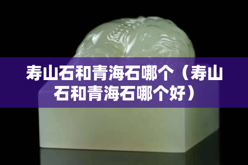 壽山石和青海石哪個（壽山石和青海石哪個好）