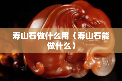壽山石做什么用（壽山石能做什么）