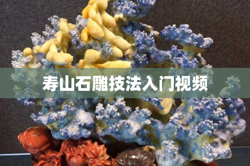 壽山石雕技法入門視頻