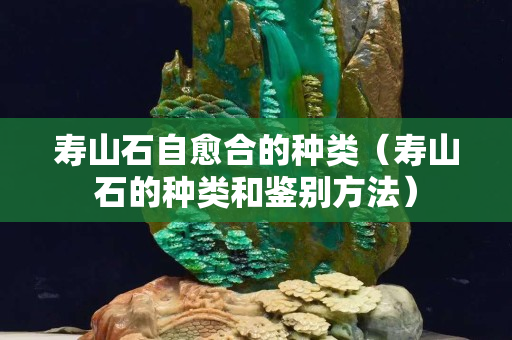壽山石自愈合的種類(壽山石的種類和鑒別方法) 壽山石自愈合的種類(壽山石的種類和鑒別方法)
