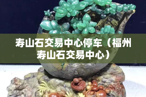 壽山石交易中心停車(福州壽山石交易中心) 壽山石交易中心停車(福州壽山石交易中心)