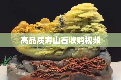 高品質(zhì)壽山石收購視頻