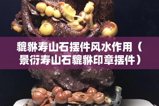 貔貅壽山石擺件風(fēng)水作用（景衍壽山石貔貅印章擺件）