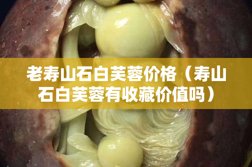 老壽山石白芙蓉價格（壽山石白芙蓉有收藏價值嗎）