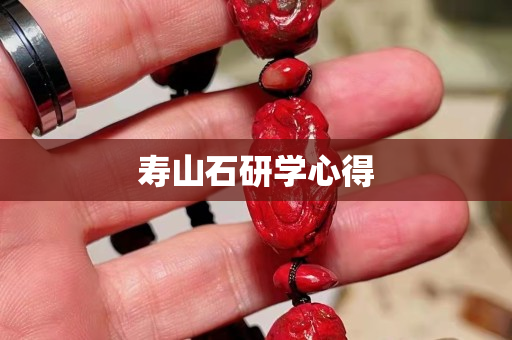 壽山石研學心得