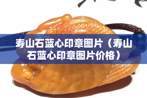 壽山石藍(lán)心印章圖片（壽山石藍(lán)心印章圖片價(jià)格）