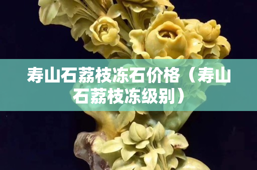 壽山石荔枝凍石價格（壽山石荔枝凍級別）