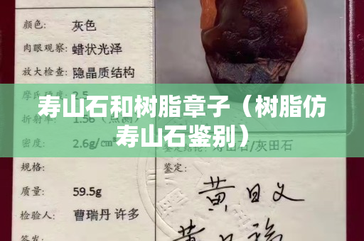 壽山石和樹脂章子（樹脂仿壽山石鑒別）