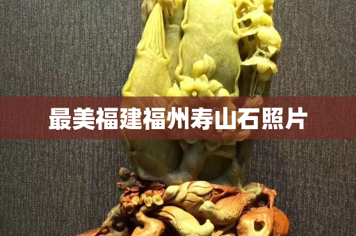 最美福建福州壽山石照片