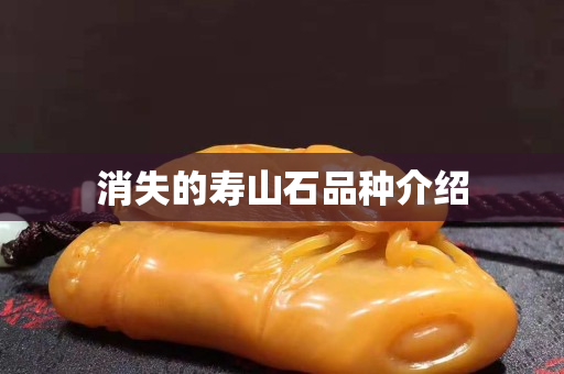 消失的壽山石品種介紹