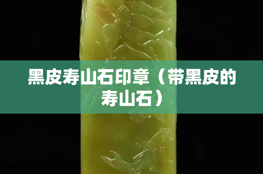黑皮壽山石印章（帶黑皮的壽山石）