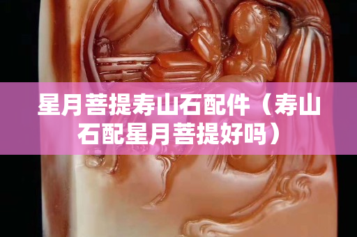 星月菩提壽山石配件（壽山石配星月菩提好嗎）