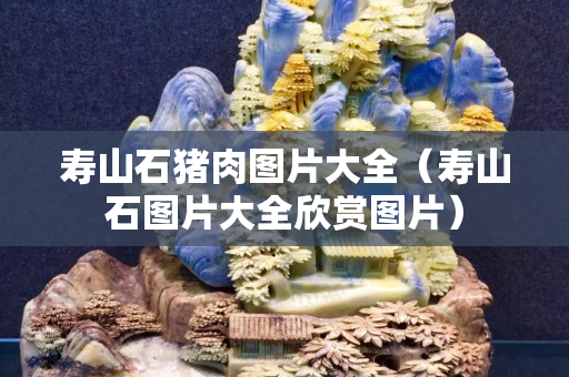 壽山石豬肉圖片大全（壽山石圖片大全欣賞圖片）