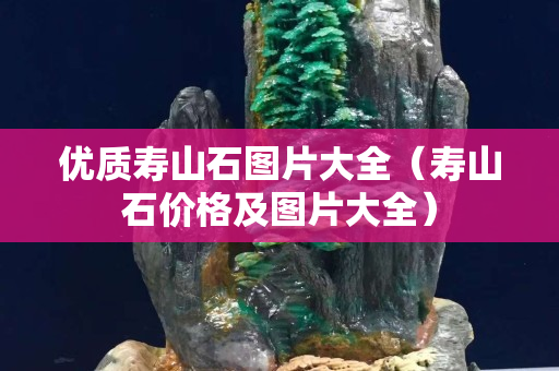 優(yōu)質(zhì)壽山石圖片大全（壽山石價格及圖片大全）