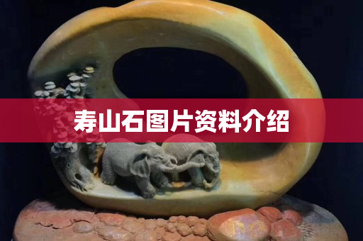 壽山石圖片資料介紹