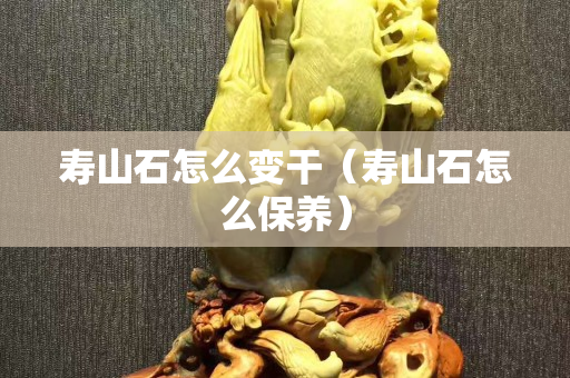 壽山石怎么變干（壽山石怎么保養）