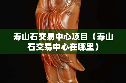 壽山石交易中心項目（壽山石交易中心在哪里）