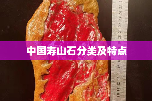 中國壽山石分類及特點